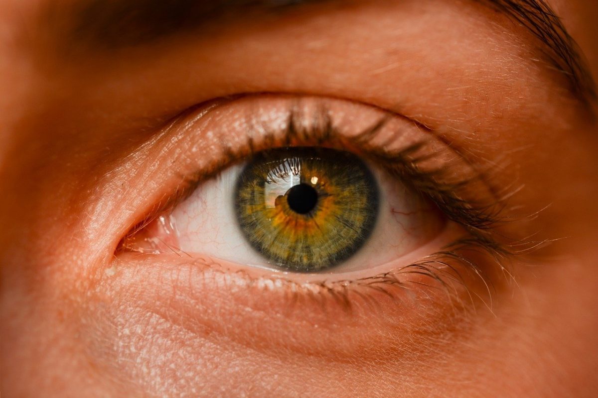 Oczy to wyrafinowany organ. To naturalnie dzięki nim doświadczamy.